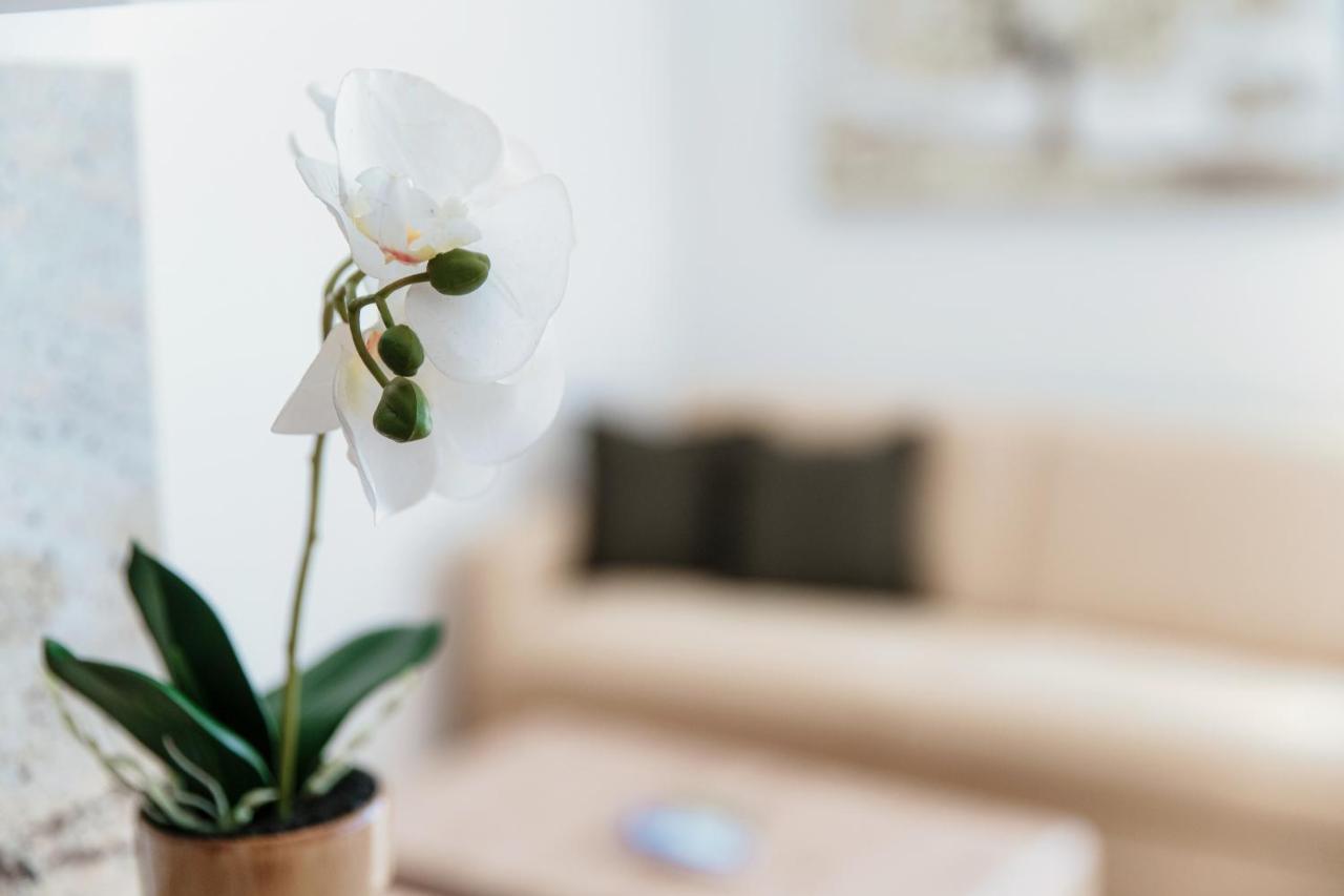 Palace Apartment By Quokka 360 - 2 Minutes From Lugano Lido 외부 사진